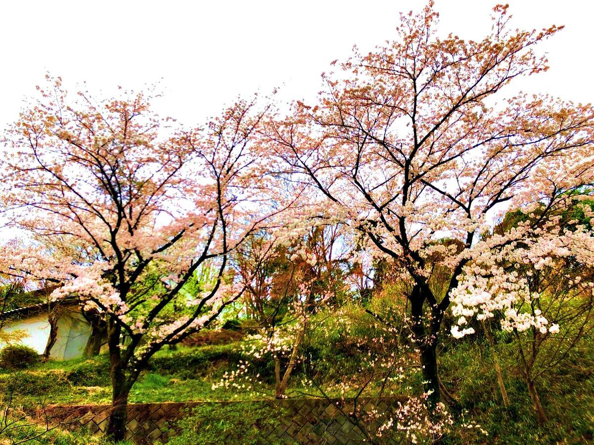 Takasaki Kannonyama Onsen Kinzanso Hotel Bagian luar foto